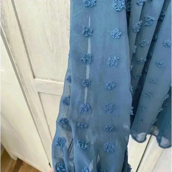 Maacie Babydoll Top Womens 2XL Sheer Long Sleeve Swiss Dots Large Blue Feminine - Picture 7 of 7